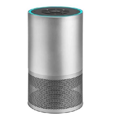 Voice Assisted Bluetooth Speaker