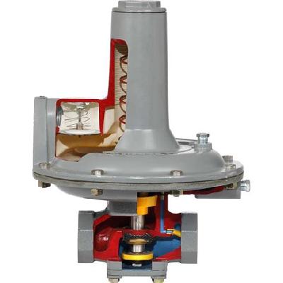 Gas Pressure Regulator