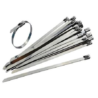 Stainless Steel Cable Tie
