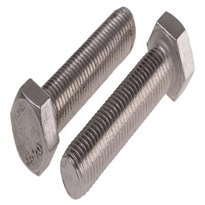 Stainless Steel Hex Bolt