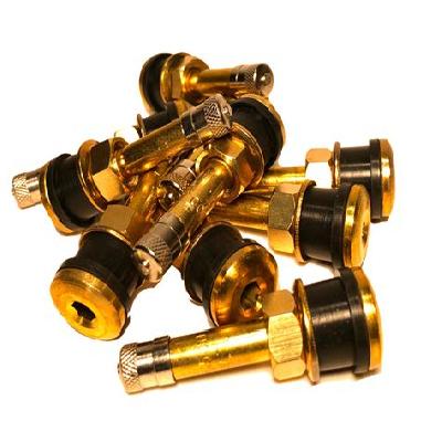Truck and Bus Tubeless Clamp-In Valves