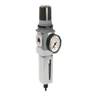 Global Modular Semi-Precision Filter Regulator - P32E Series