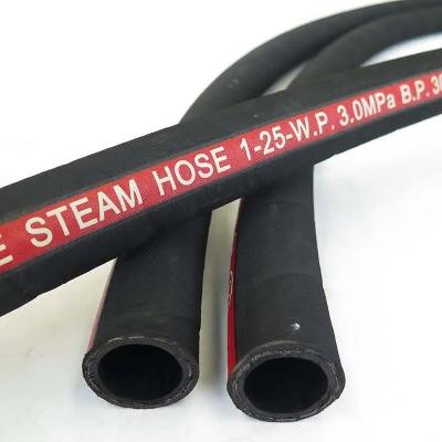 Steam Hose Pipe