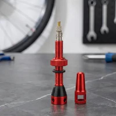 Bicycle Brass Tube Valve