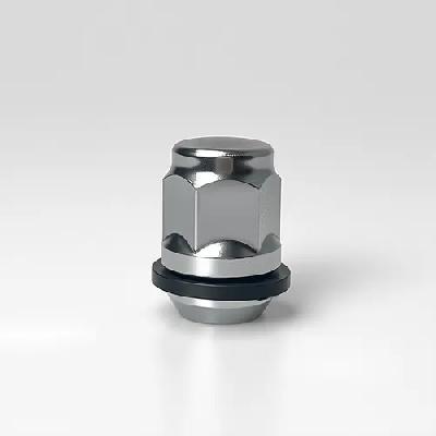 H Rim Nut