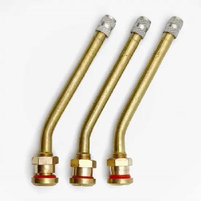Tubeless Valve
