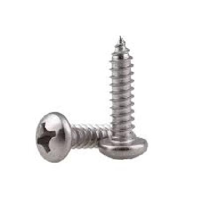 Pan Philips Self Tapping Screw