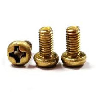 Micro Screws