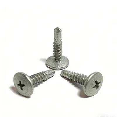 Self Tapping Stainless Steel Screw