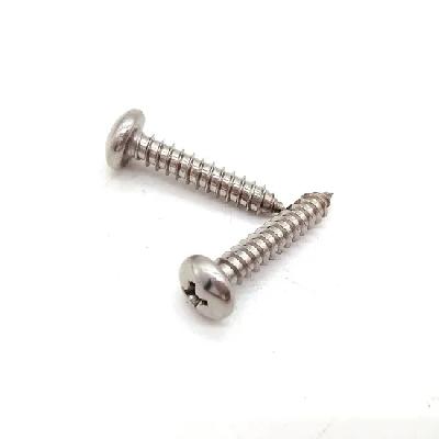 Stainless Steel Micro Screws