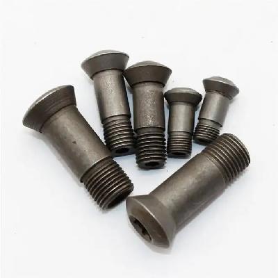 Torx Screw