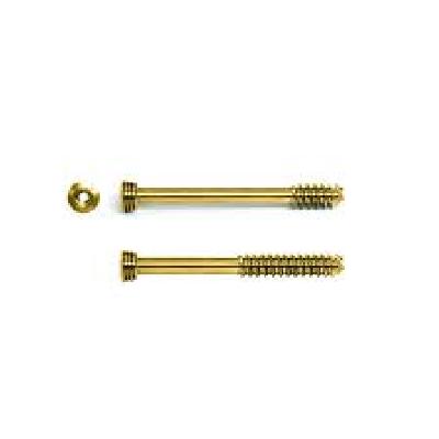 Cancellous Screw Thread