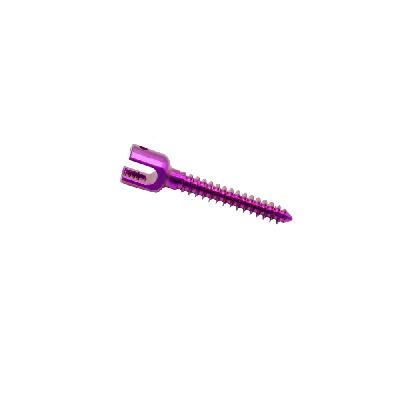 Monoaxial Screw
