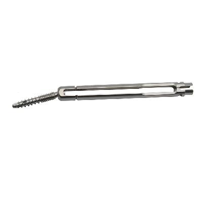 Polyaxial Screw