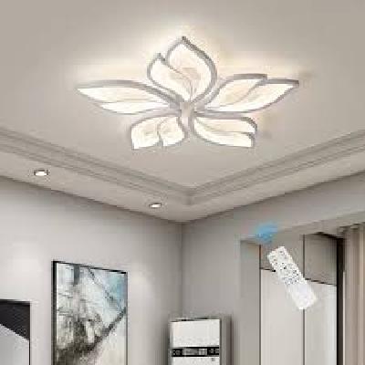 Led Ceiling Light