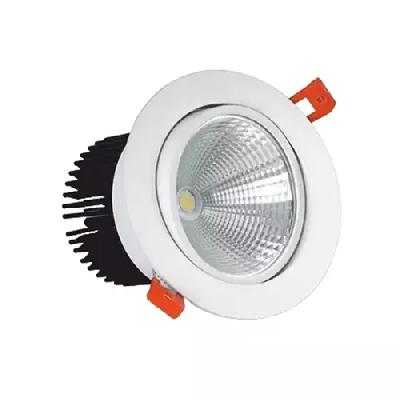 LED COB SPOT LIGHT 30W
