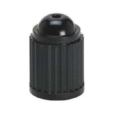 Plastic Valve Cap