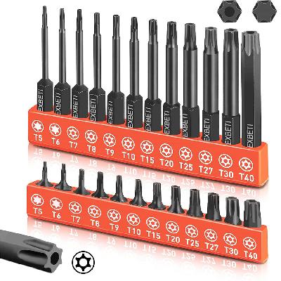 Torx Head Screwdrivers Bits
