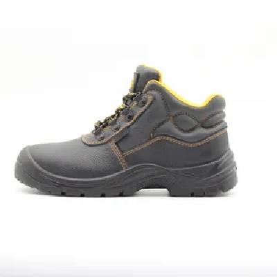 Safety Shoes - Size 7