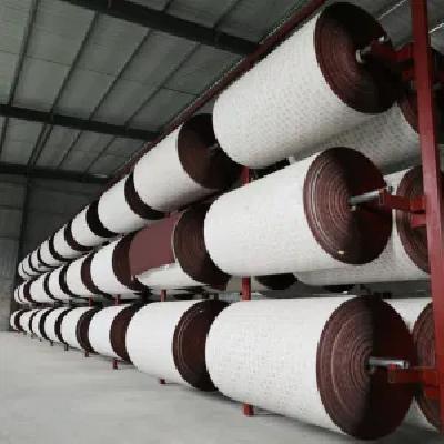 Sanding Roll
