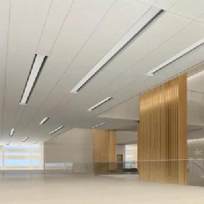 Wide Panel Ceilings