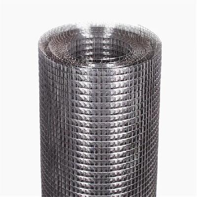 SS Welded Wire Mesh