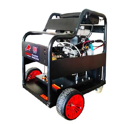 Doube Cylinder Car Washer