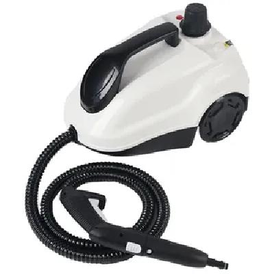 Professional Steam Cleaner