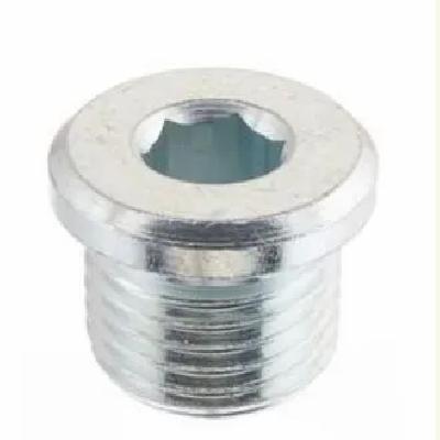 Blanking Plug