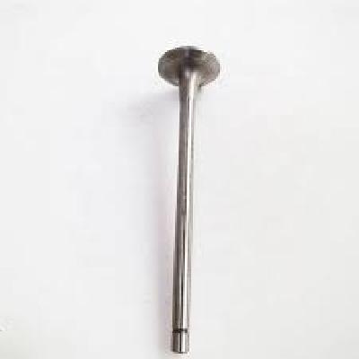 Intake Valve