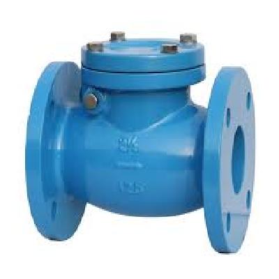 Non Return Valve