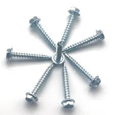 Patta Brand Self Drilling Screw