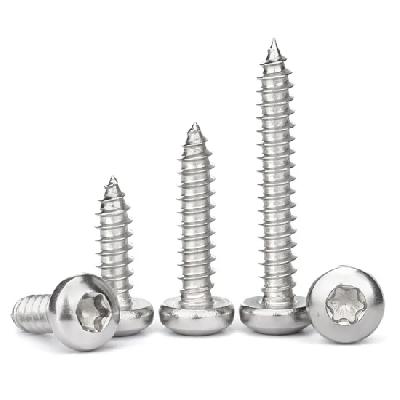 Patta Pan Head Screw