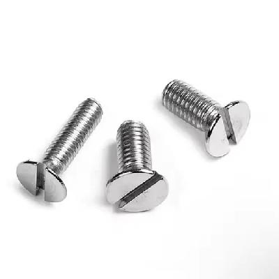 SS Screw