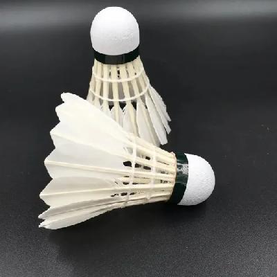 Badminton Shuttlecock