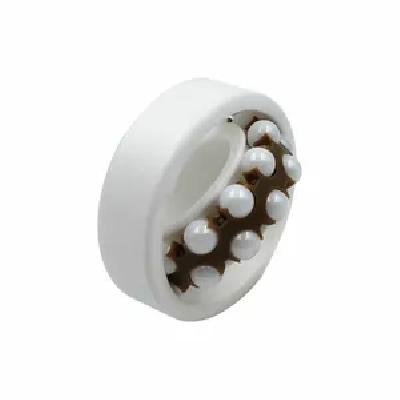 Ceramic Bearing