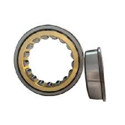 Cylindrical Roller Bearings