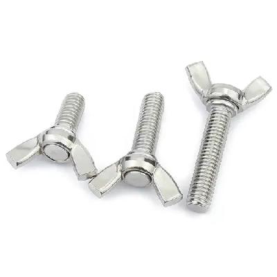Screw Bolt