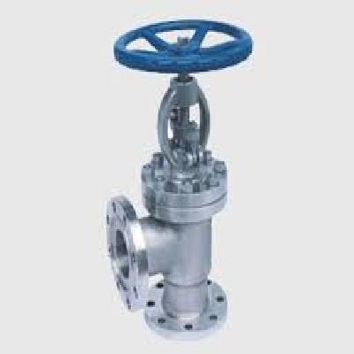 Angle Globe Valve