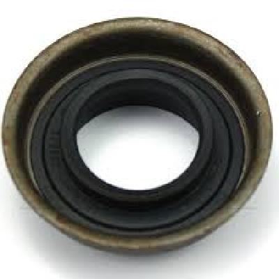 Input Shaft Lip Seal