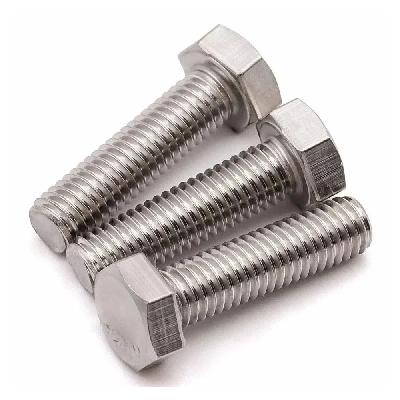 SS Hex Bolts