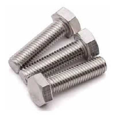 Stainless Steel Hex Bolt