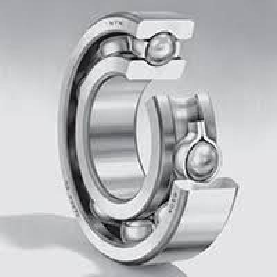 Radial Ball Bearing