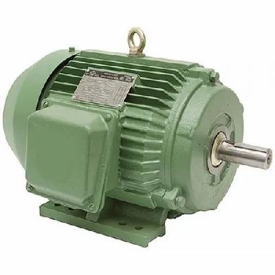 Crompton Greaves Green Electric Motor