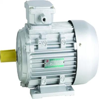 Induction Motor