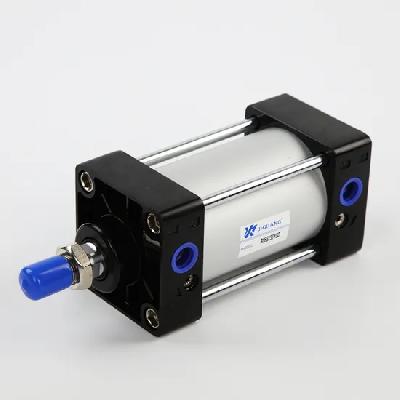 Pneumatic Cylinders Series 2A