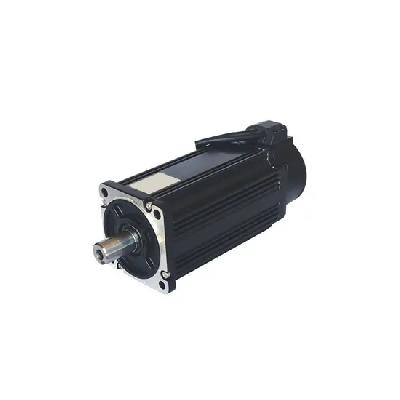Electric Servo Motors