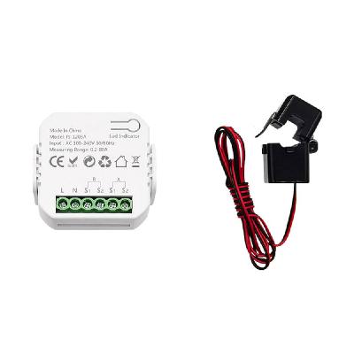 Timing And Monitoring Device