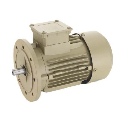 Inducting High Performance Motors