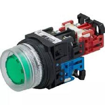 Fuji Illuminated Pushbutton